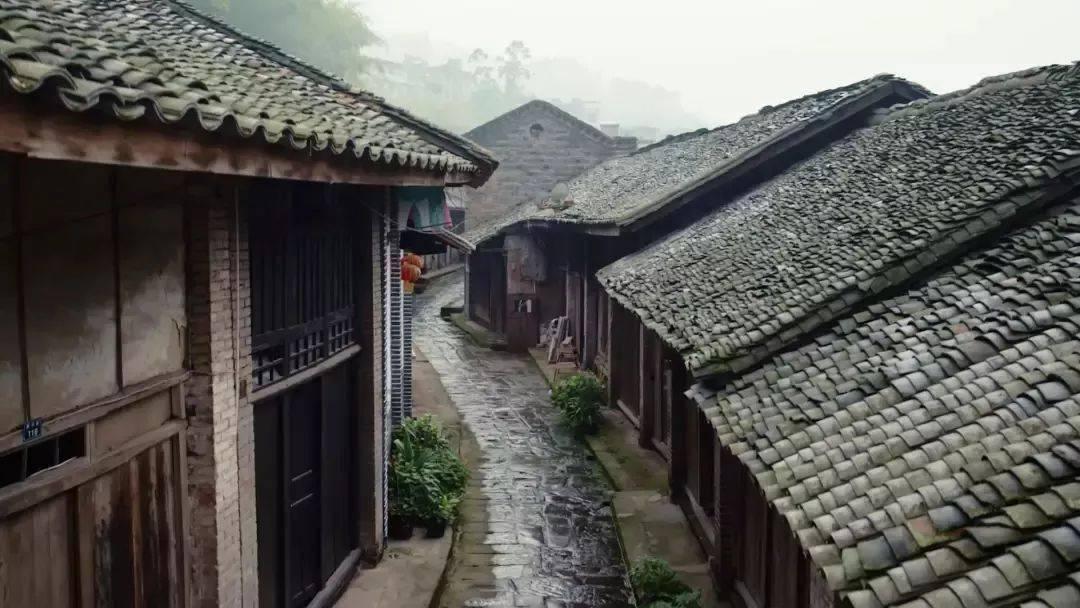 甘肃研学旅行主题线路课程集锦展示之五十三：中华一脉·如意陇原研学游